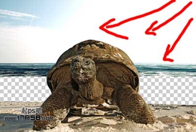 photoshop合成制作海龟岛­自然场景8