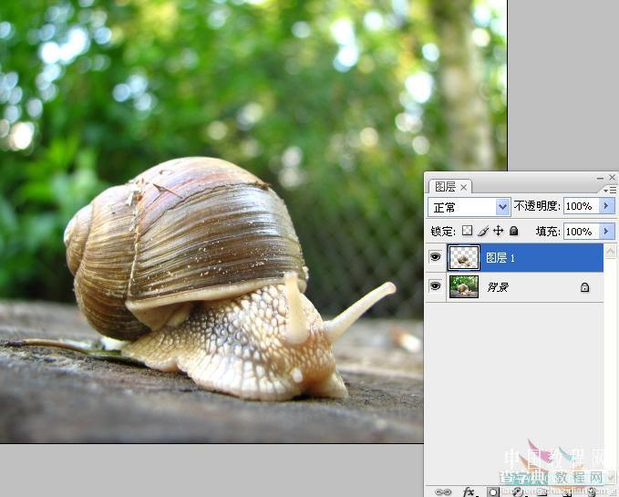 photoshop 创意合成赛跑的蜗牛13
