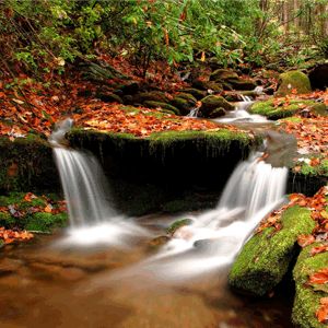 Photoshop照片合成教程:朦胧的风景照2