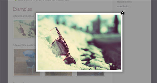 30个最好的jQuery 灯箱插件分享9
