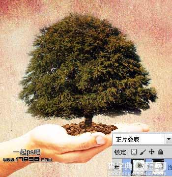 Photoshop合成手上的捧着的大树效果5