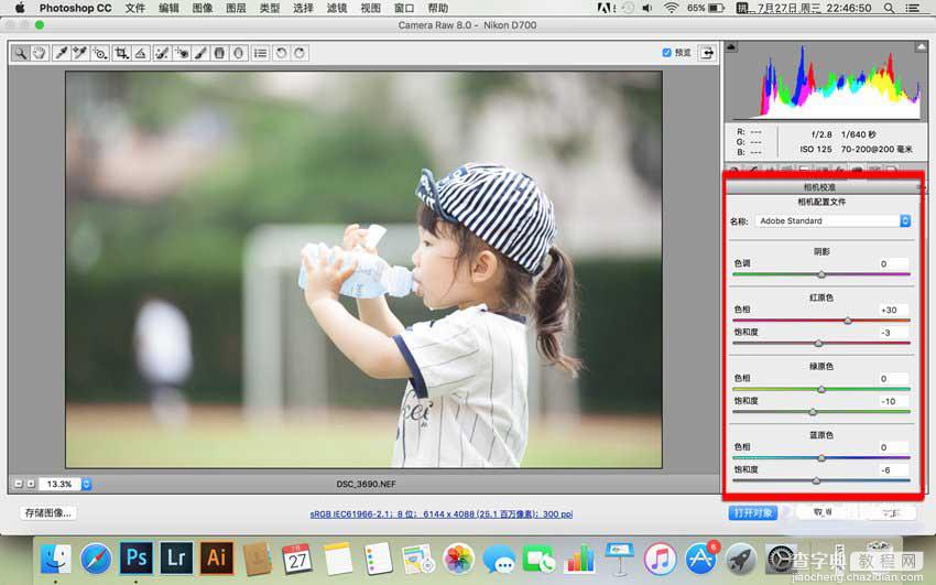 Photoshop调出日系小清新风格的儿童写真6