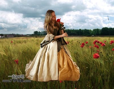 photoshop合成黎明时站在草丛手拿玫瑰美女图片3