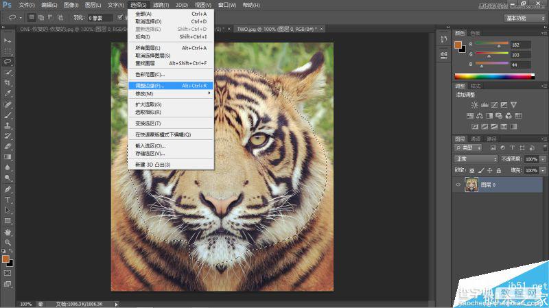 Photoshop将老虎头像和人脸完美融合在一起的效果图23