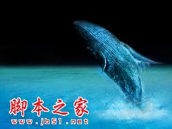 photoshop合成制作少年派life of pi 高清壁纸7