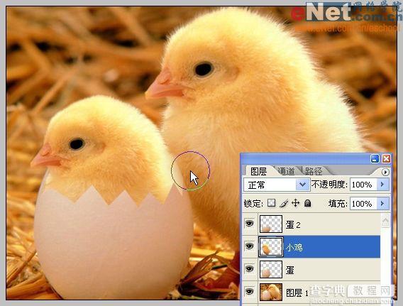 Photoshop合成“蛋壳里的小鸡”9