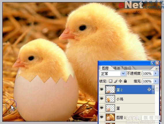 Photoshop合成“蛋壳里的小鸡”12