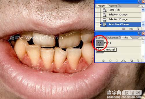 photoshop 合成恐怖的树皮脸11