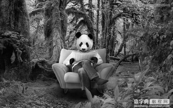 用PS合成做在森林中看书的熊猫人42