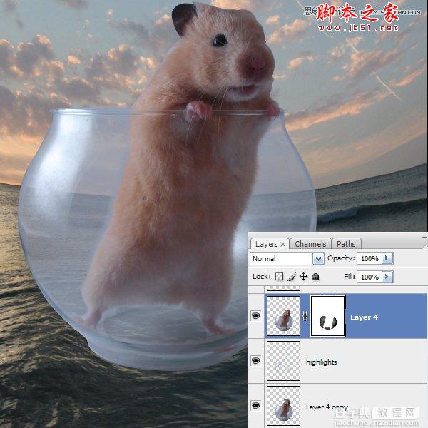 Photoshop合成制作可爱的海盗鼠船长教程9