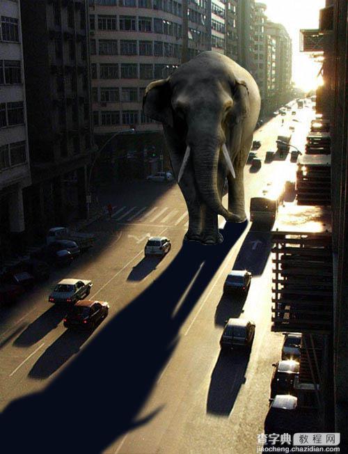 PS合成大象漫步行走在城市道路上的图片特效1