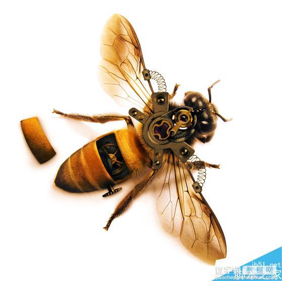 Photoshop合成非常逼真创意的机械小蜜蜂教程17