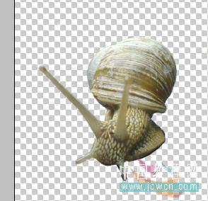 photoshop 创意合成赛跑的蜗牛31