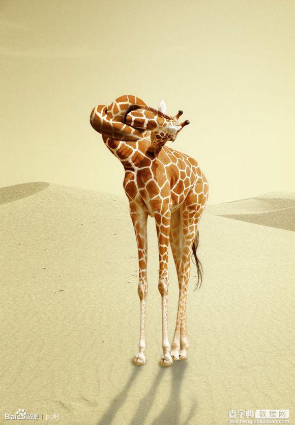 Photoshop设计制作脖子被打结的长颈鹿1