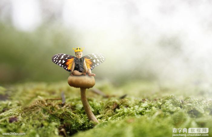 PS合成长着翅膀坐在蘑菇上的可爱天使1