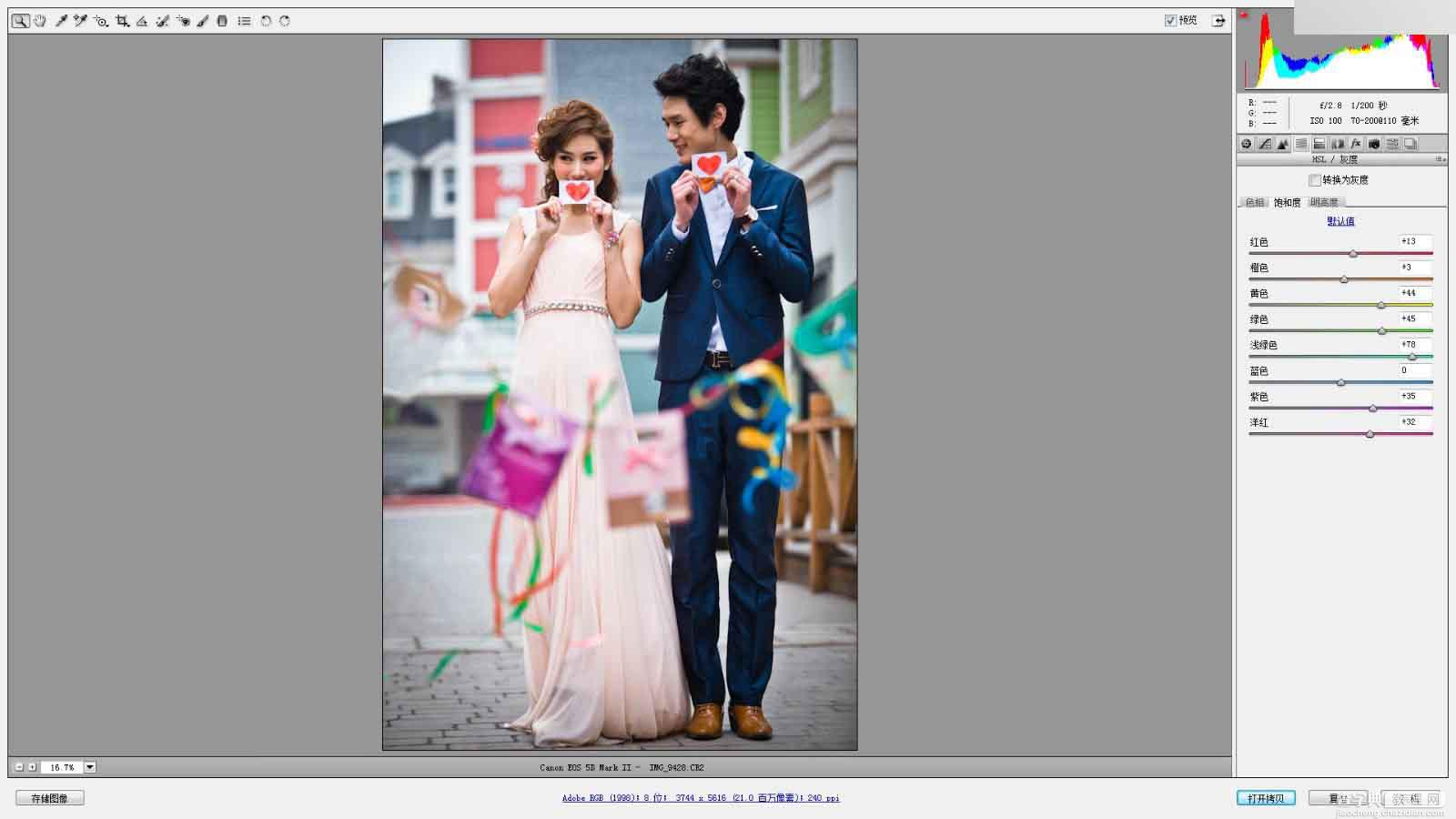 Photoshop调出韩式小清新室外婚纱照片4