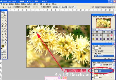 Photoshop教程:简单制作花卉日历7