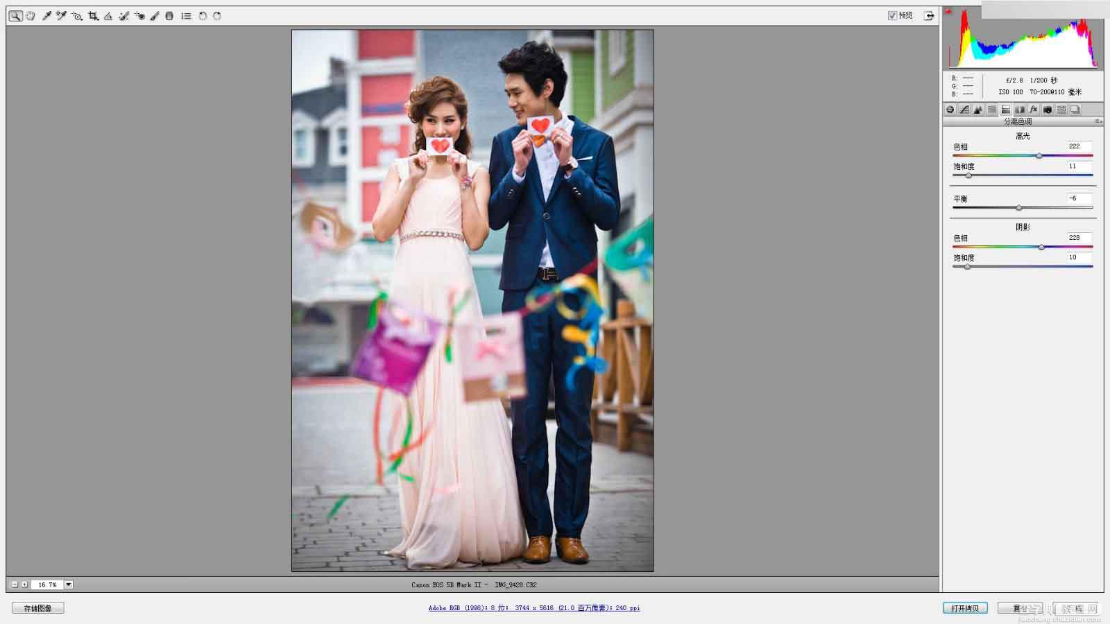Photoshop调出韩式小清新室外婚纱照片8