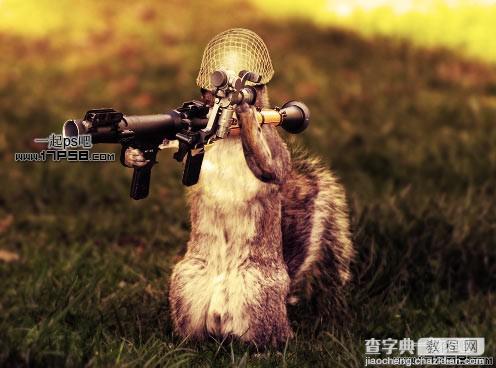 photoshop合成滑稽的松鼠士兵1