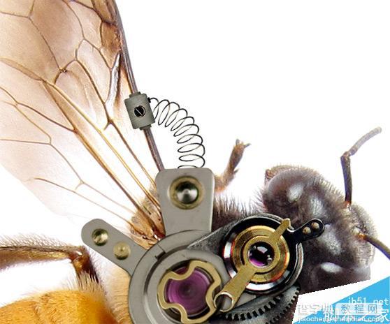 Photoshop合成非常逼真创意的机械小蜜蜂教程6