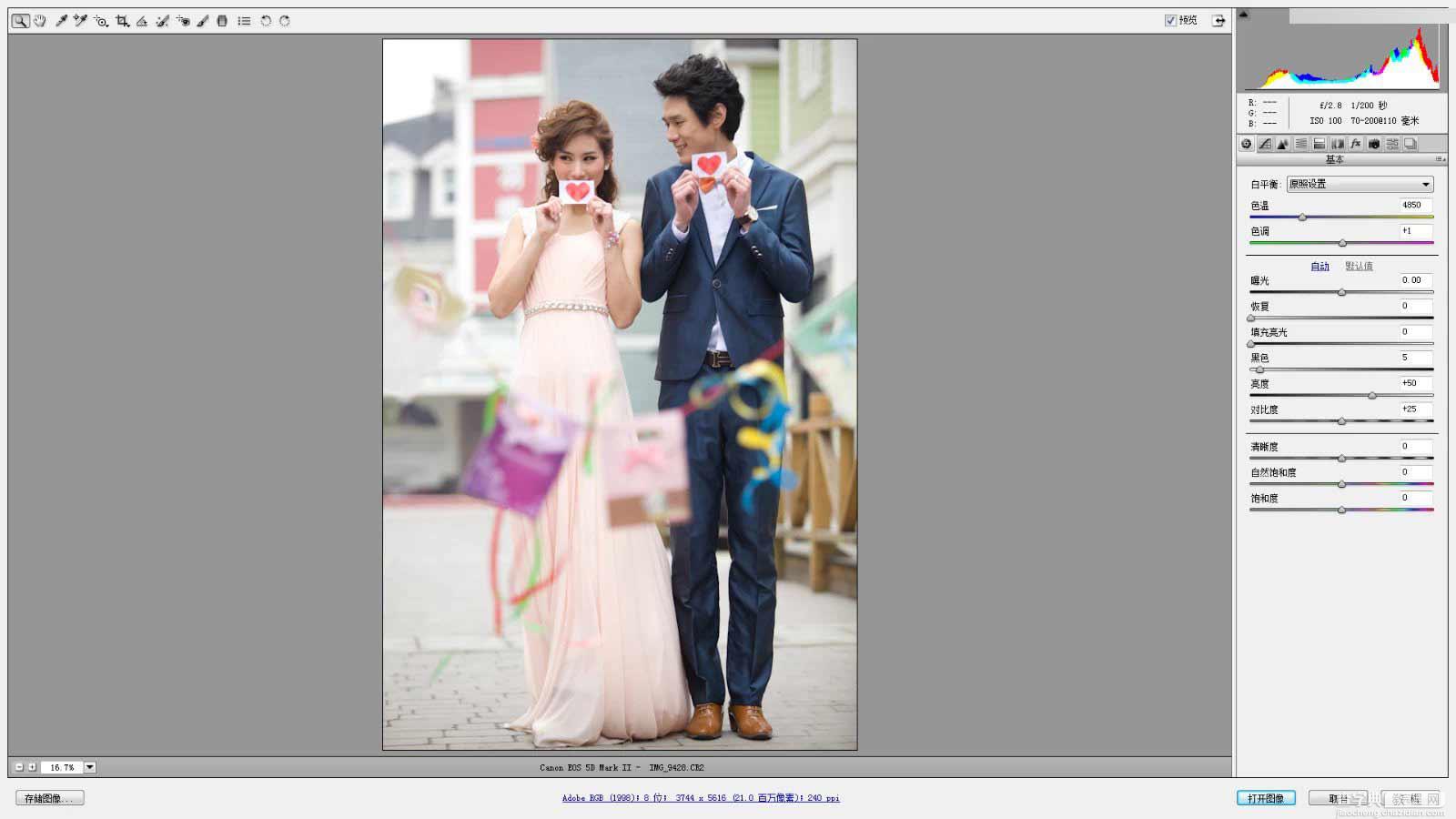 Photoshop调出韩式小清新室外婚纱照片2