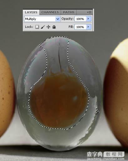 Photoshop合成逼真的透明鸡蛋图文教程13