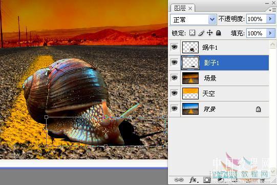 photoshop 创意合成赛跑的蜗牛18
