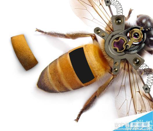 Photoshop合成非常逼真创意的机械小蜜蜂教程12