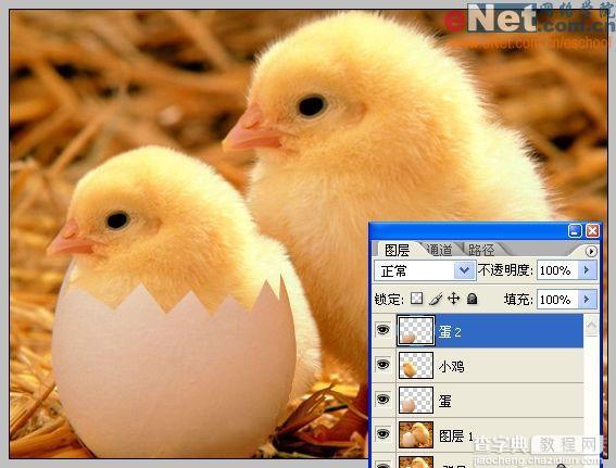 Photoshop合成“蛋壳里的小鸡”8