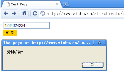 复制Input内容的js代码_支持所有浏览器，修正了Firefox3.5以上的问题1