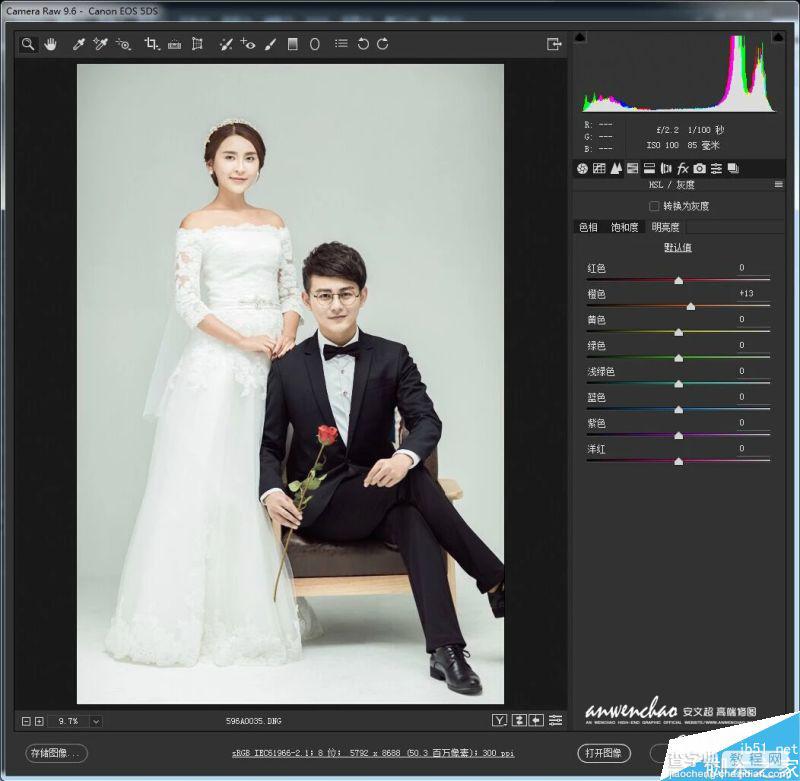 PS调出优雅韩式风格的婚纱照效果图8