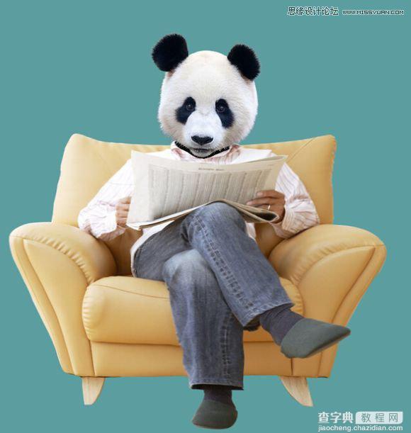 用PS合成做在森林中看书的熊猫人12