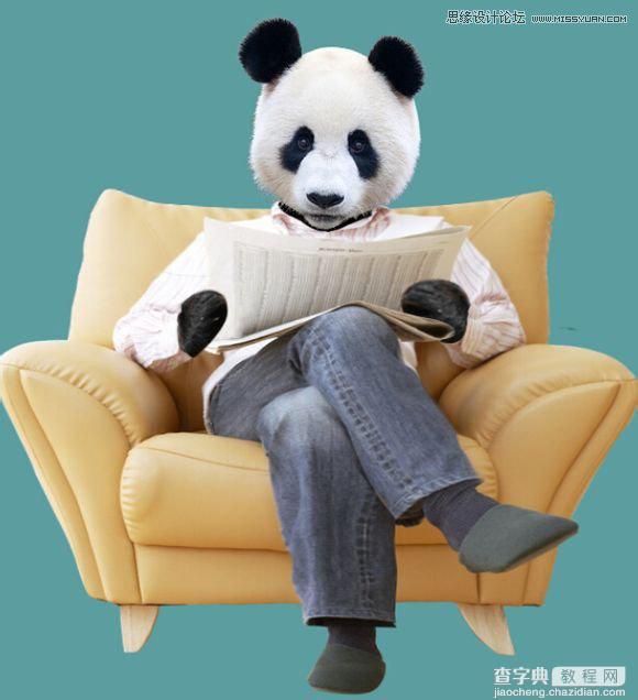 用PS合成做在森林中看书的熊猫人17