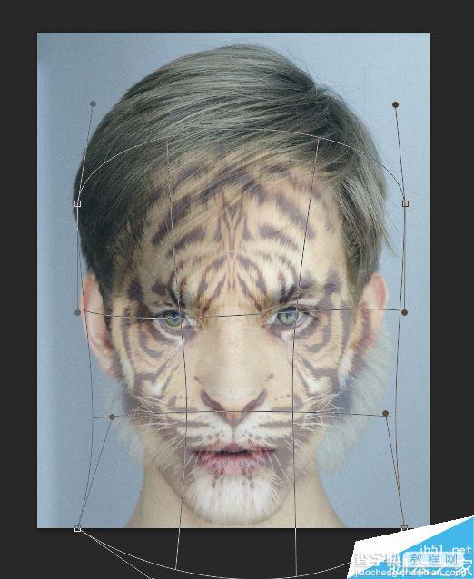 Photoshop将老虎头像和人脸完美融合在一起的效果图30