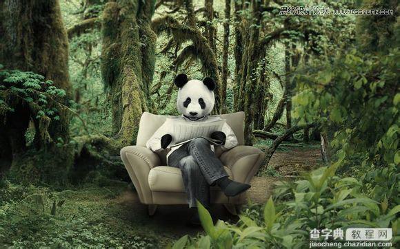 用PS合成做在森林中看书的熊猫人41