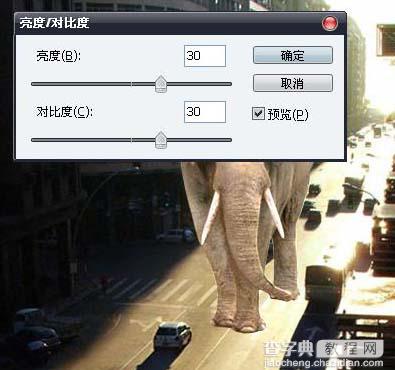 PS合成大象漫步行走在城市道路上的图片特效5