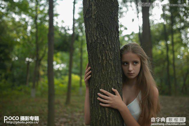 PS调出秋季唯美艺术效果的森林人像教程4