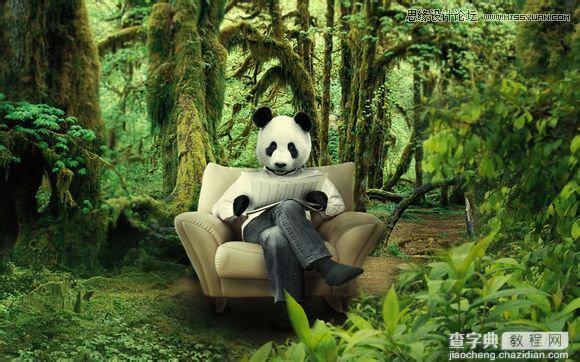 用PS合成做在森林中看书的熊猫人40