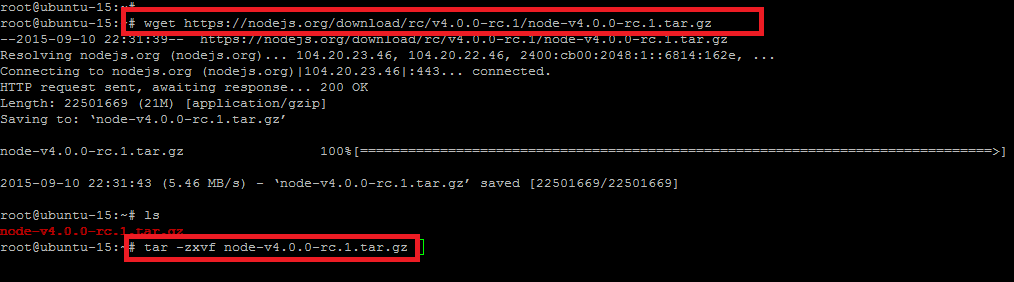 在Ubuntu系统上安装Node.JS的教程2