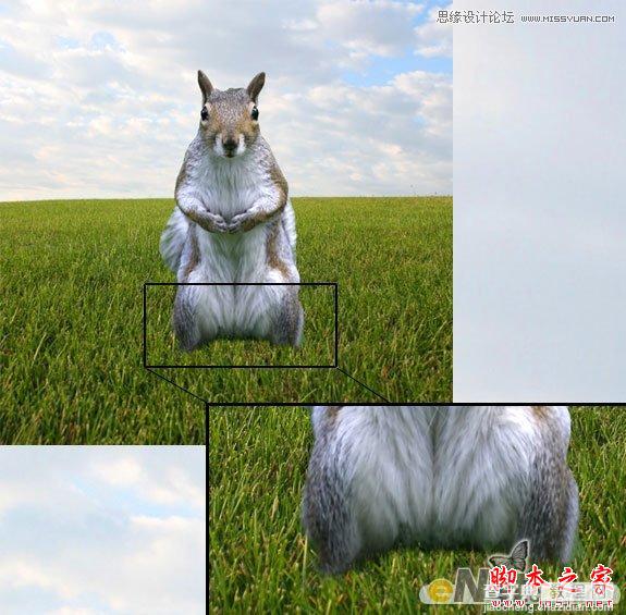 Photoshop设计打造出草原上超酷的松鼠守卫战士2