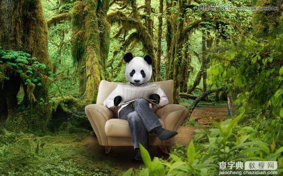 用PS合成做在森林中看书的熊猫人39