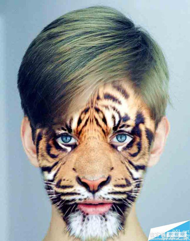 Photoshop将老虎头像和人脸完美融合在一起的效果图1