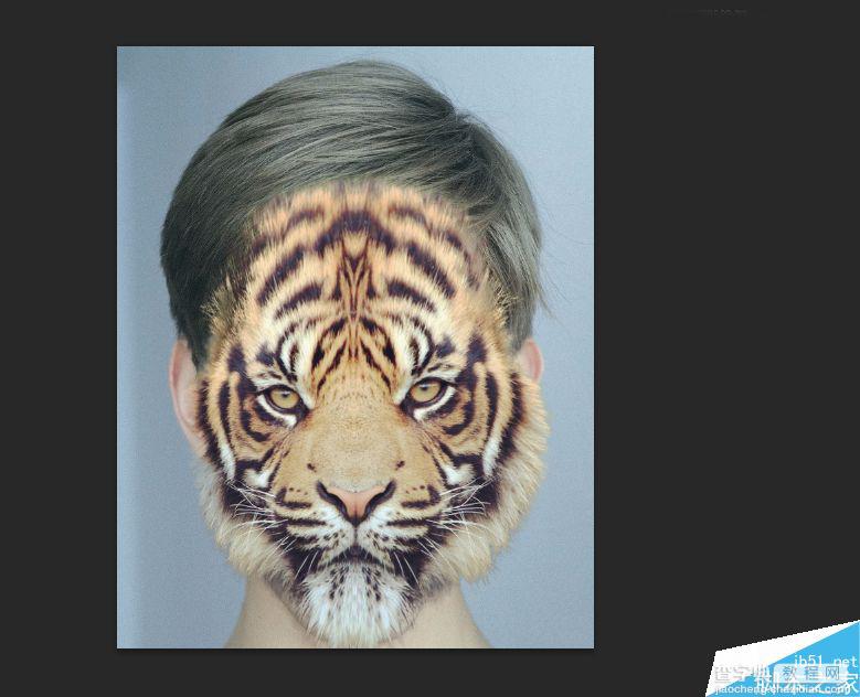 Photoshop将老虎头像和人脸完美融合在一起的效果图31