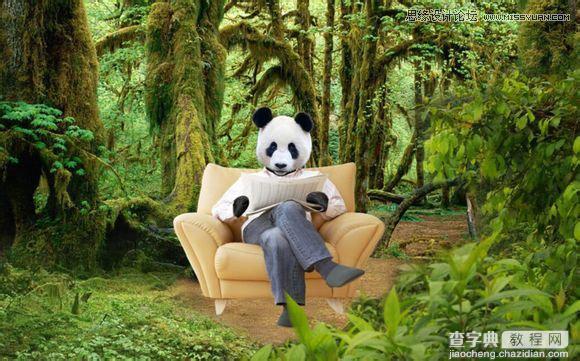 用PS合成做在森林中看书的熊猫人34