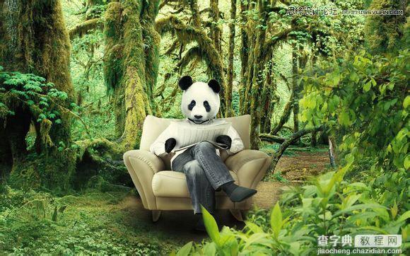 用PS合成做在森林中看书的熊猫人43