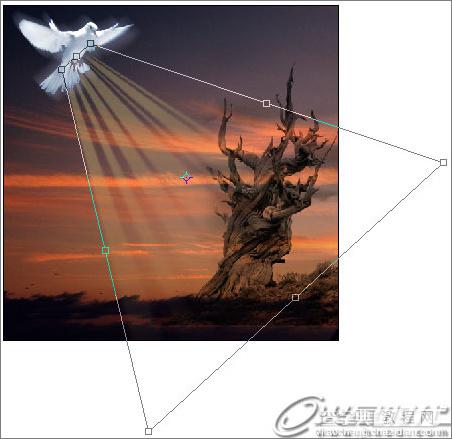 Photoshop照片合成幻境中的和平鸽教程8