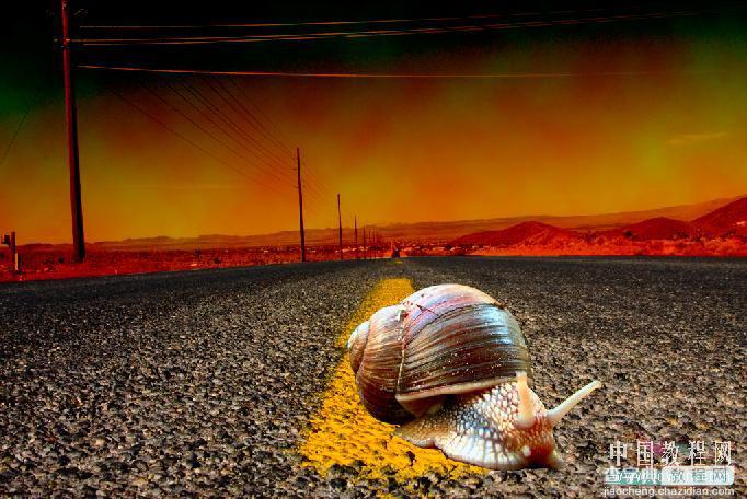photoshop 创意合成赛跑的蜗牛17