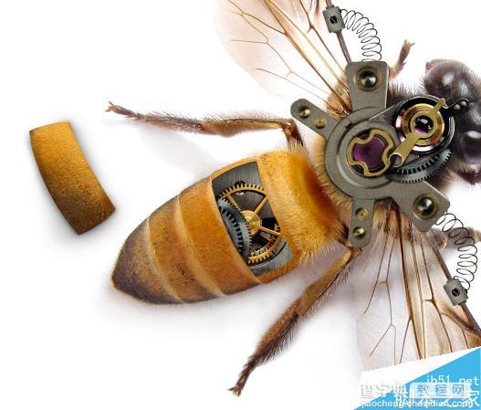 Photoshop合成非常逼真创意的机械小蜜蜂教程13
