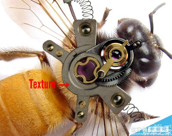 Photoshop合成非常逼真创意的机械小蜜蜂教程7