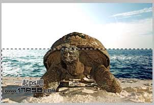 photoshop合成制作海龟岛­自然场景5